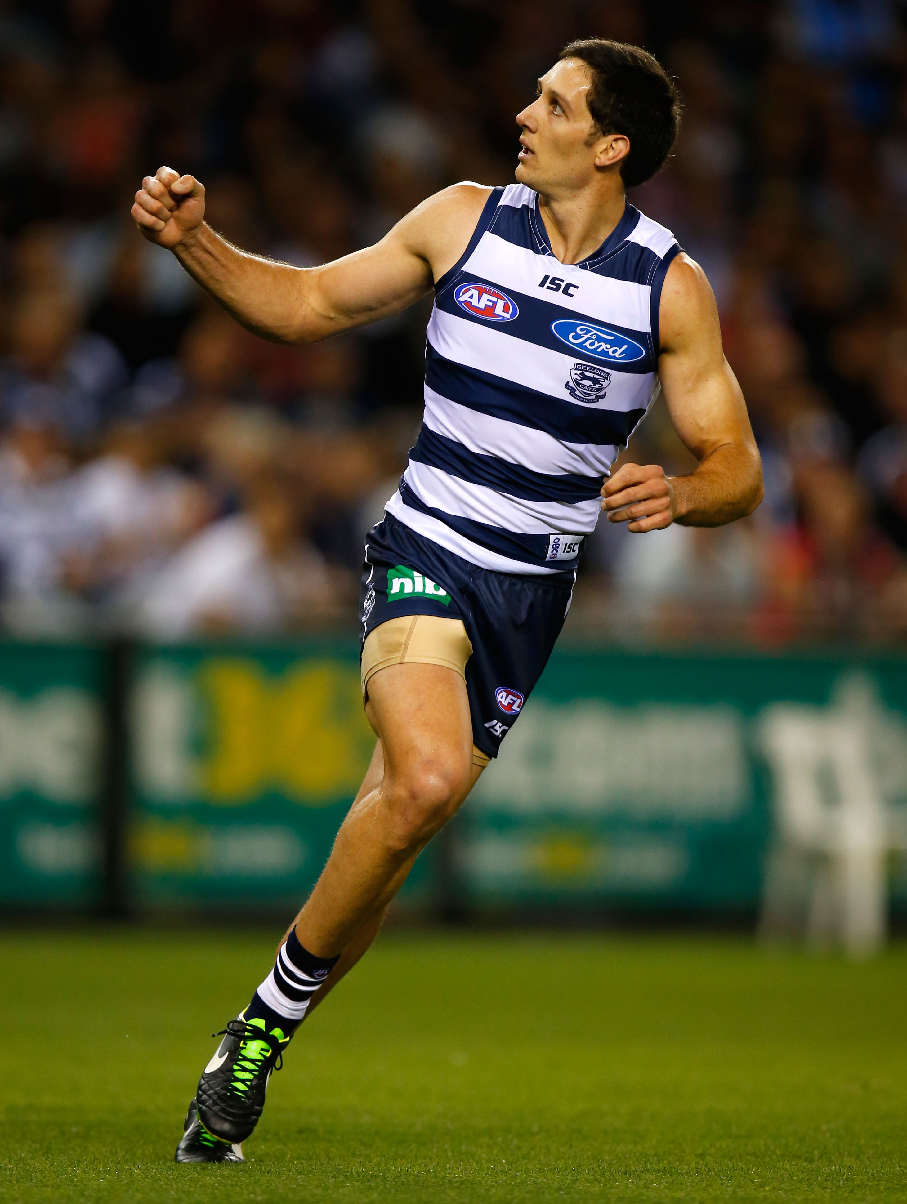 Att Which Cat Will Keep Going