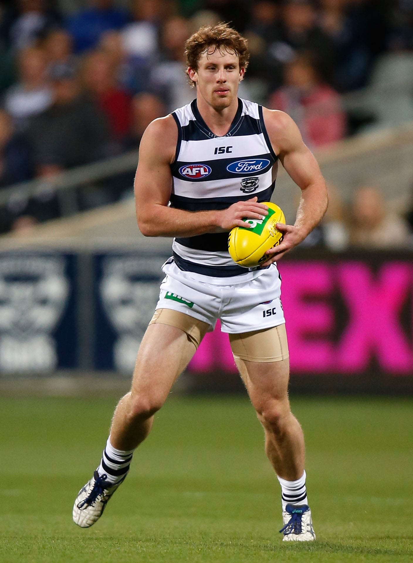 VFL: Cats fall to Tigers