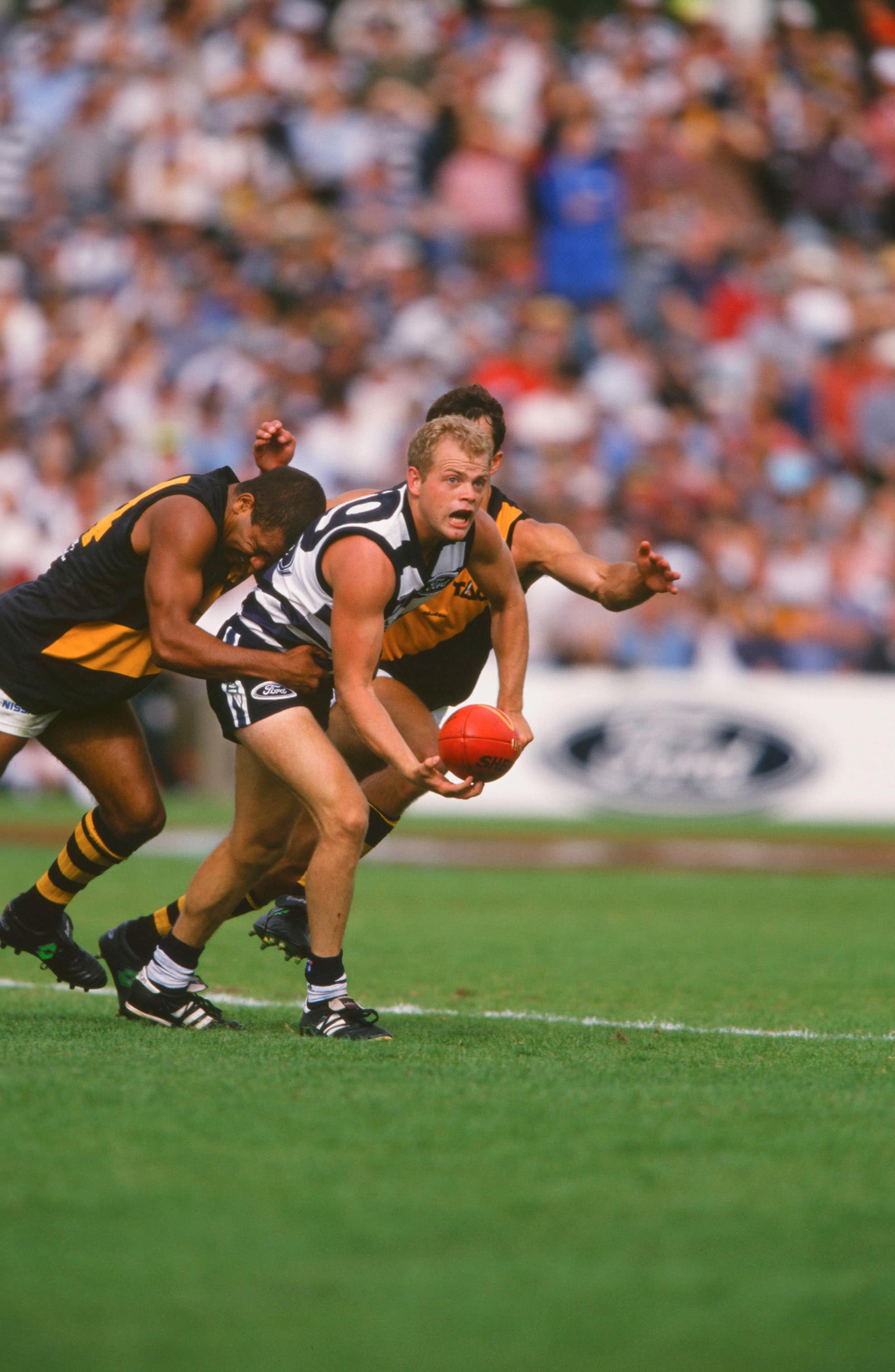 Former Cat returns in development role