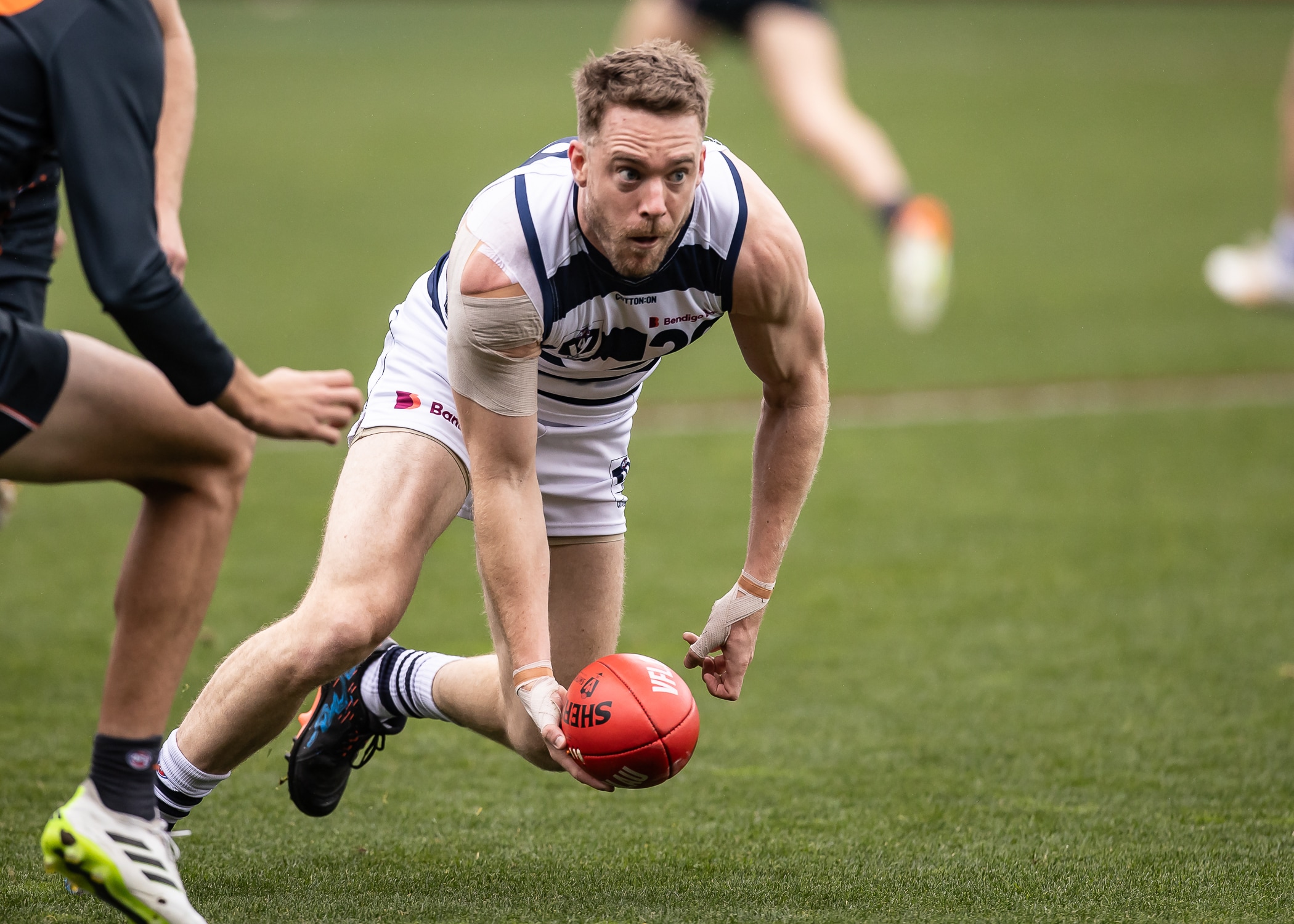 VFL Match Report | Guthrie Returns, Cats End Season on Postive Note