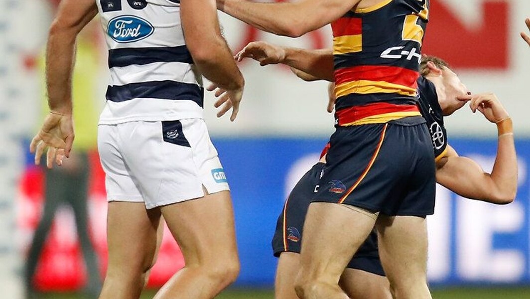 Cats Opt Against Challenging Hawkins Ban