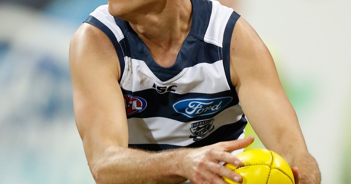 VFL: Cats beaten by Tigers