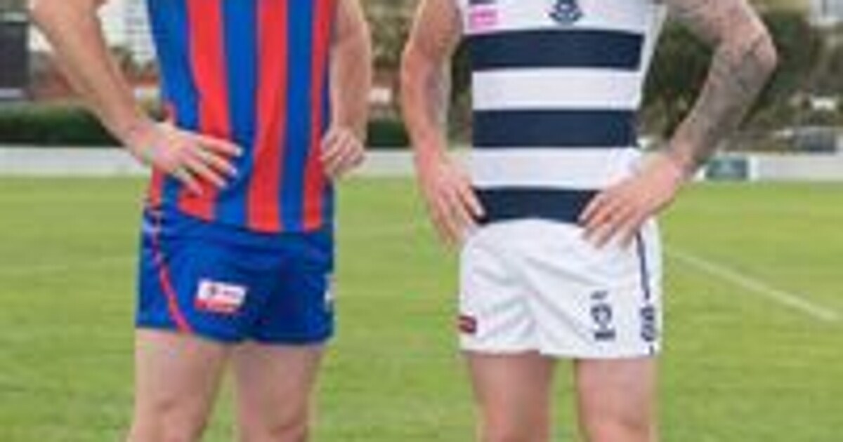 VFL Cats back home