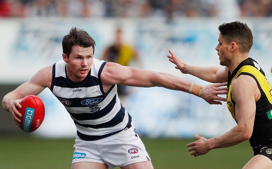 Two Cats Make All Australian 40