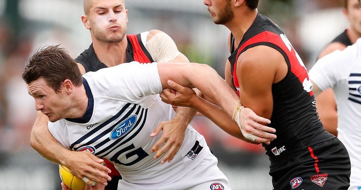 AFL Media's Geelong season preview