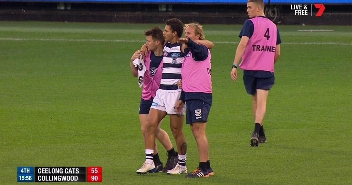 Hamstring concerns for young cat