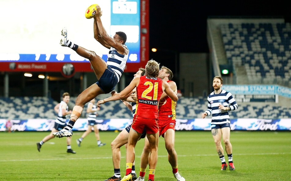 Air Sava Crucial To Cats