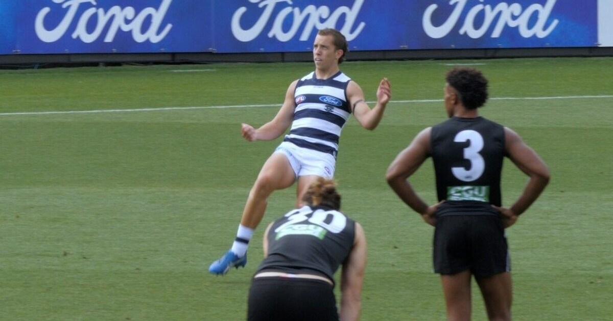 Francis Evans Highlights