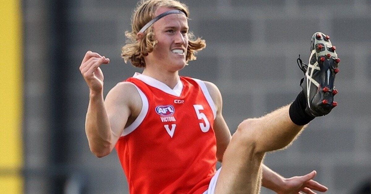 Cooper Whyte Highlights