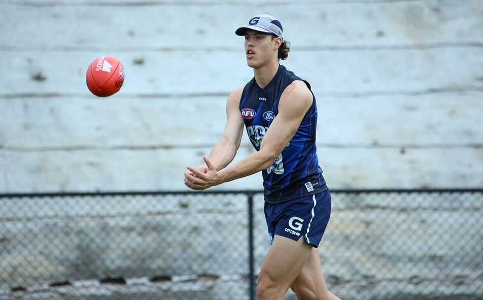 Too Soon? [The Captaincy Question] Page 3 The Unofficial Geelong Messageboard