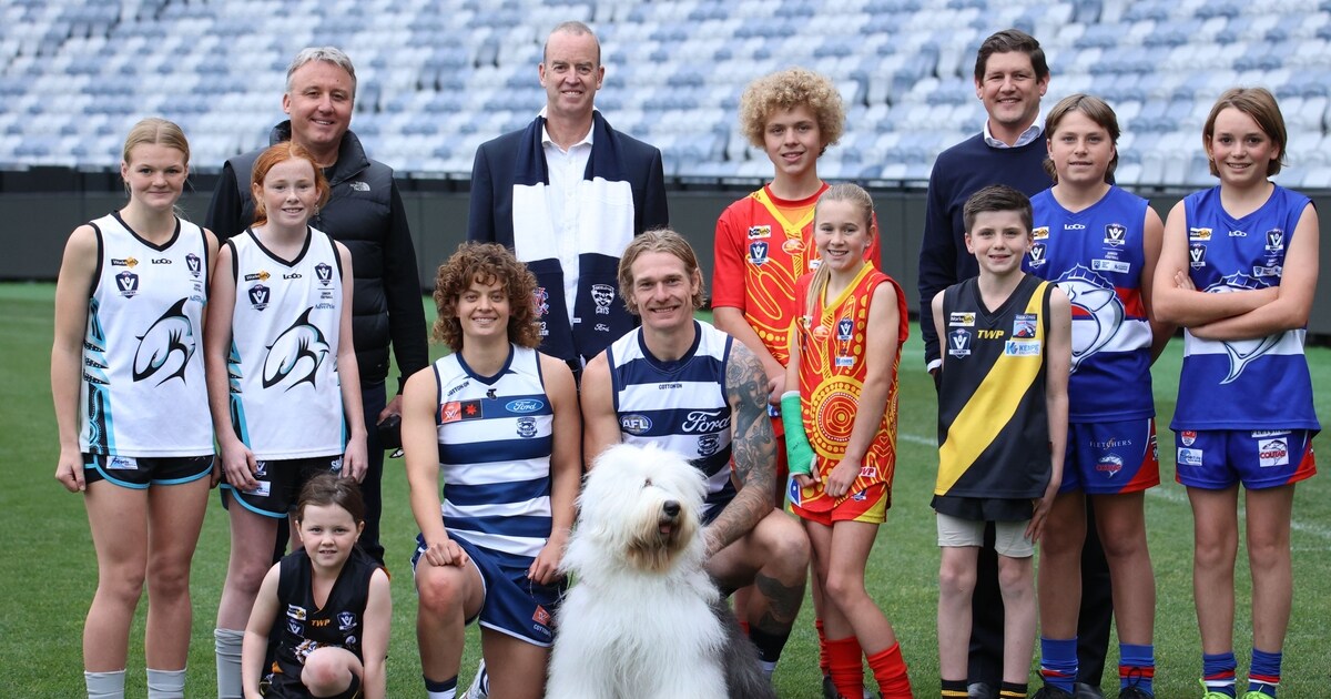 Geelong Cats Partners With Dulux To Launch Colour Your Club Campaign