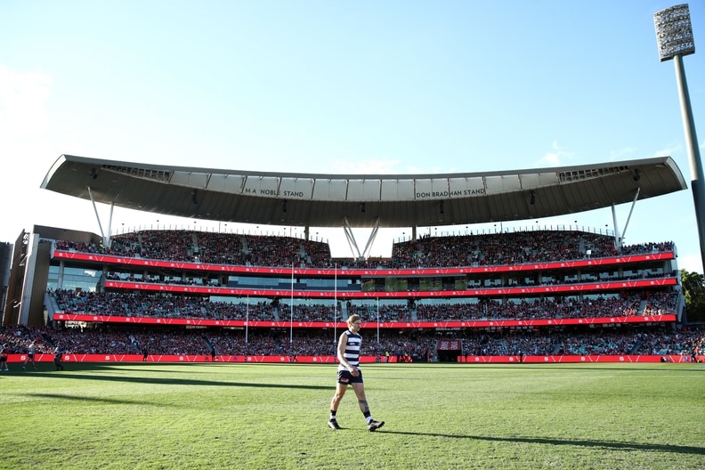 AFL 2024 Round 13 - Sydney v Geelong