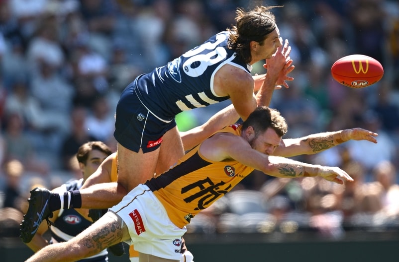 AFL 2025 Match Simulation - Geelong v Hawthorn