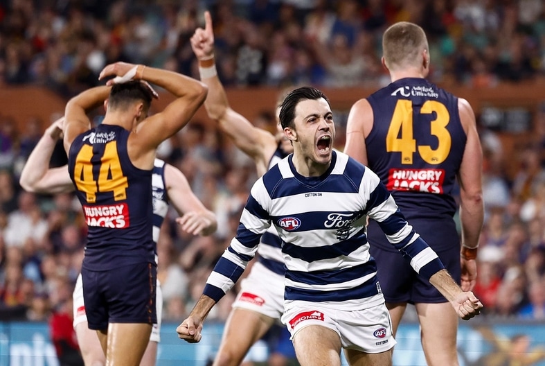 AFL 2025 Round 05 - Adelaide v Geelong