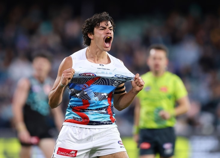 AFL 2025 Round 10 - Yartapuulti v Geelong