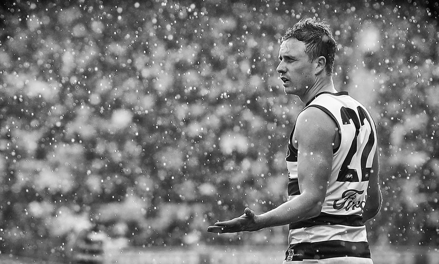 Mitch Duncan | 300 Game Photos