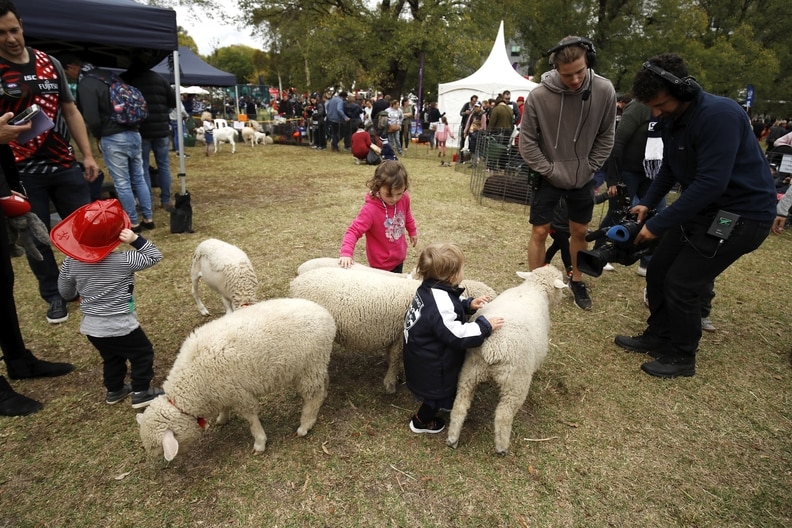 Country Game 2025 | Best Images