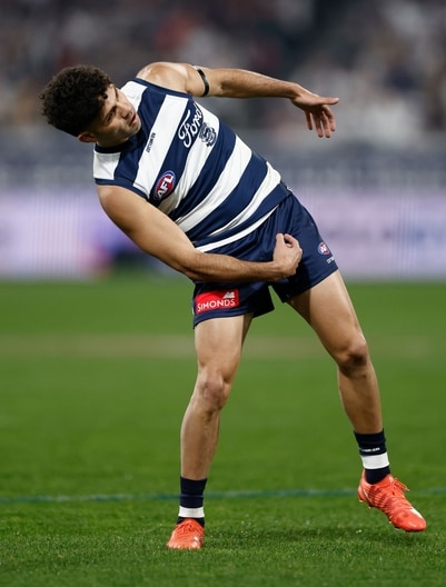 AFL 2025 Round 15 - Geelong v Brisbane