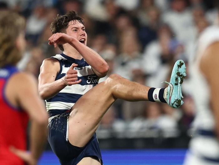 AFL 2025 Round 15 - Geelong v Brisbane