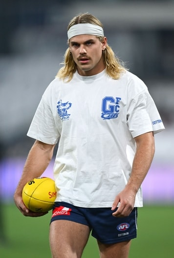 AFL 2025 Round 15 - Geelong v Brisbane