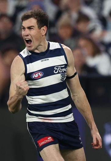 AFL 2025 Round 15 - Geelong v Brisbane
