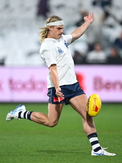 AFL 2025 Round 15 - Geelong v Brisbane