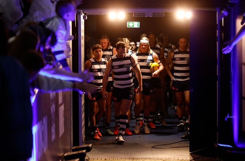 AFL 2025 Round 15 - Geelong v Brisbane