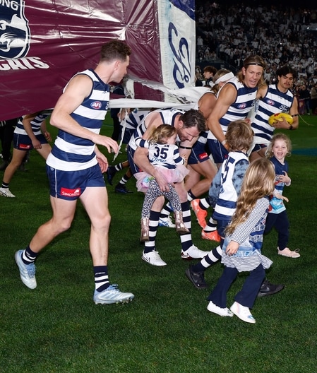 AFL 2025 Round 15 - Geelong v Brisbane