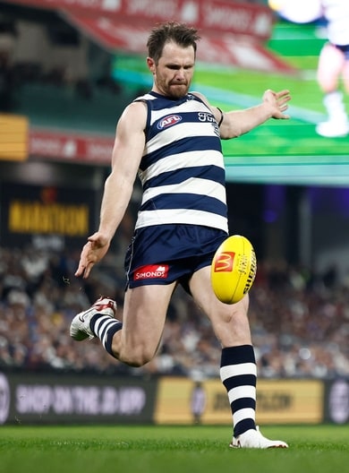 AFL 2025 Round 15 - Geelong v Brisbane