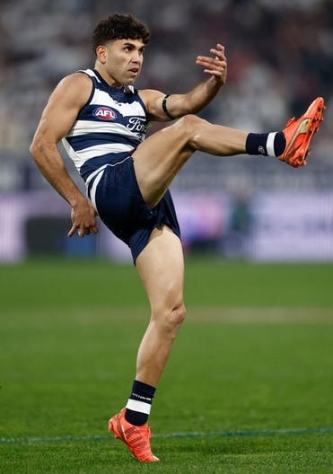 AFL 2025 Round 15 - Geelong v Brisbane