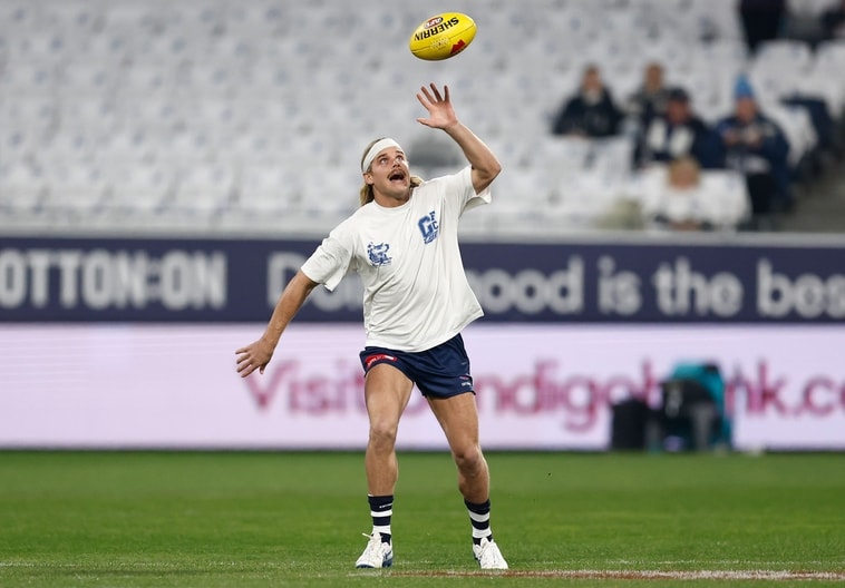 AFL 2025 Round 15 - Geelong v Brisbane