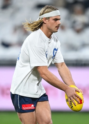 AFL 2025 Round 15 - Geelong v Brisbane