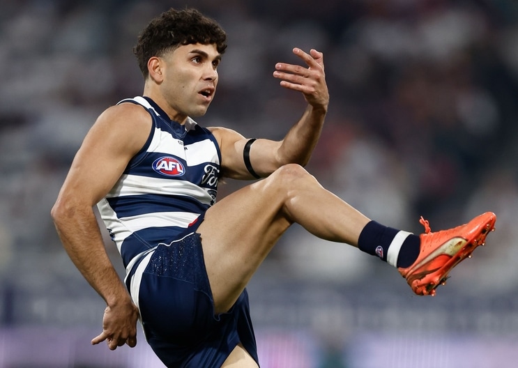AFL 2025 Round 15 - Geelong v Brisbane