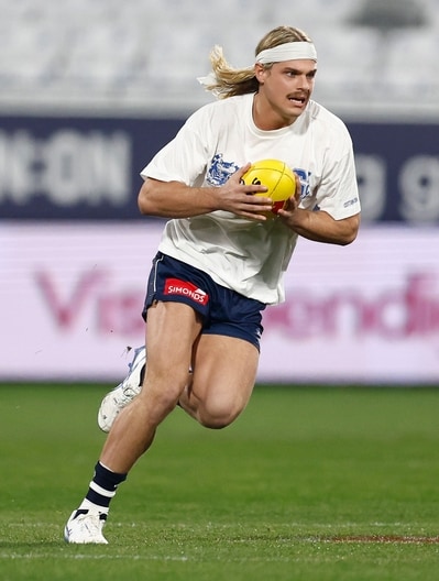 AFL 2025 Round 15 - Geelong v Brisbane