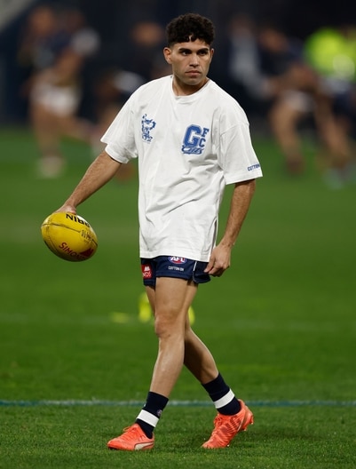 AFL 2025 Round 15 - Geelong v Brisbane