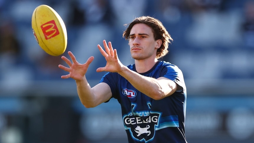 AFL 2025 Round 17 - Geelong v Richmond