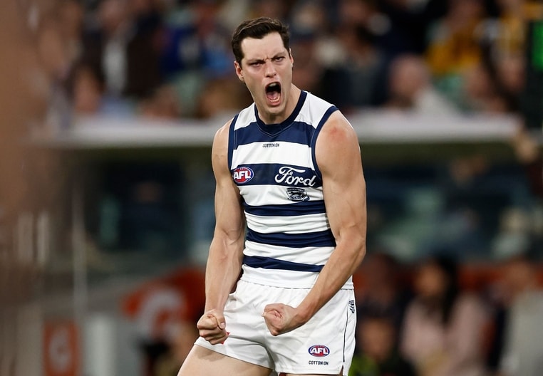 AFL 2025 Second Preliminary Final - Geelong v Hawthorn