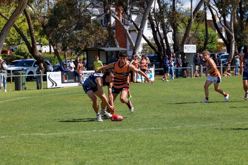 2025 October NGA Matches