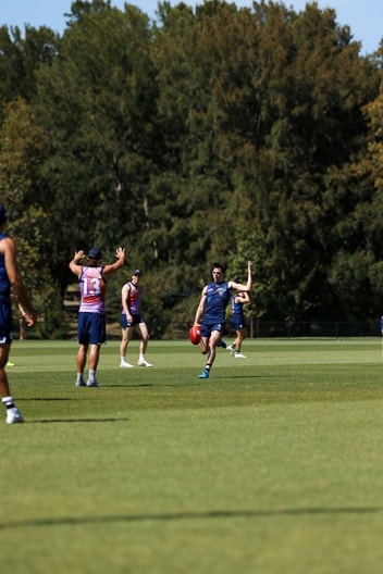 Pre-Season Training Gallery - December 12 | Ollie Henry