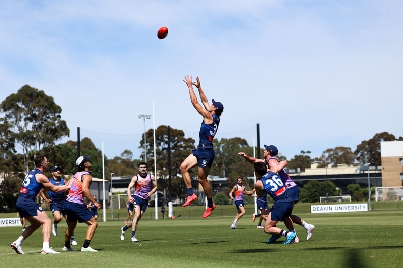 Pre-Season Training Gallery - December 12 | Shannon Neale