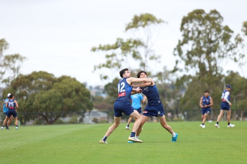 2026 Pre-Season Training - Wednesday January 28 | Ollie Henry & Mark O'Connor