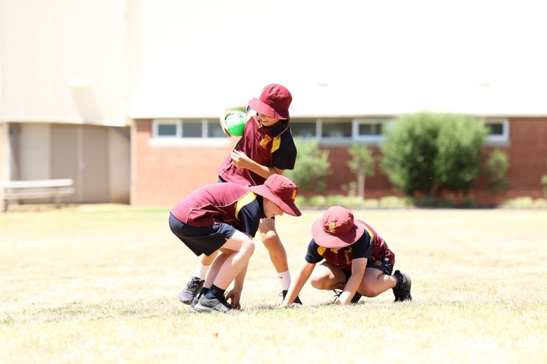 2026 Cats Community Camp | school visit
