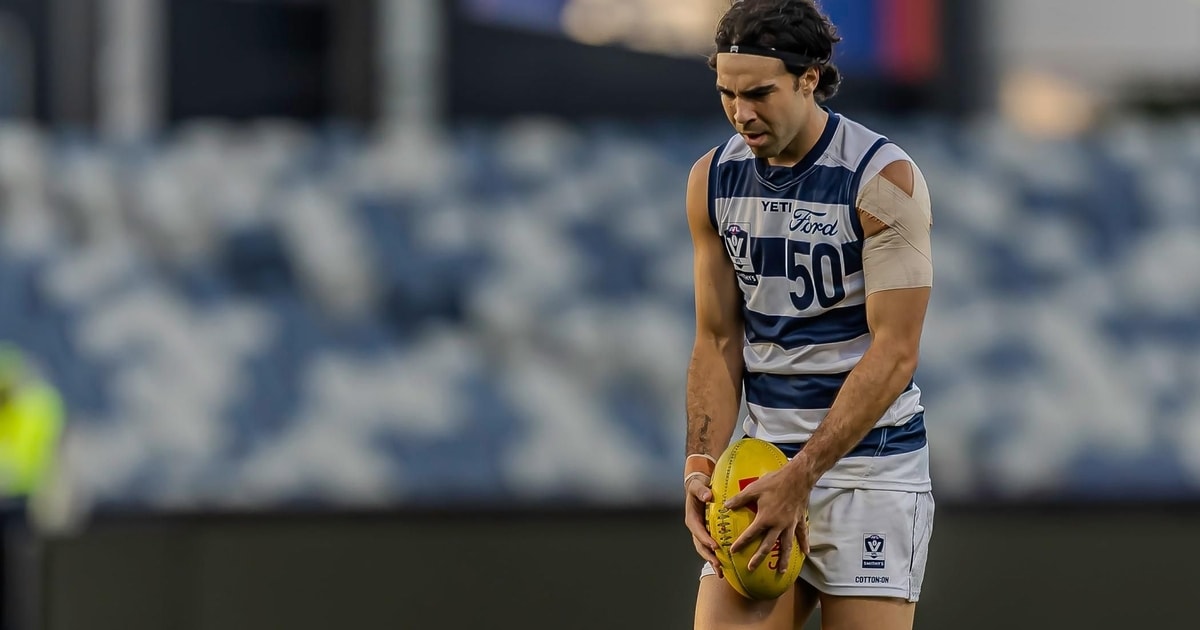 VFL Cats Into The Grand Final! | Dan Capiron Interview