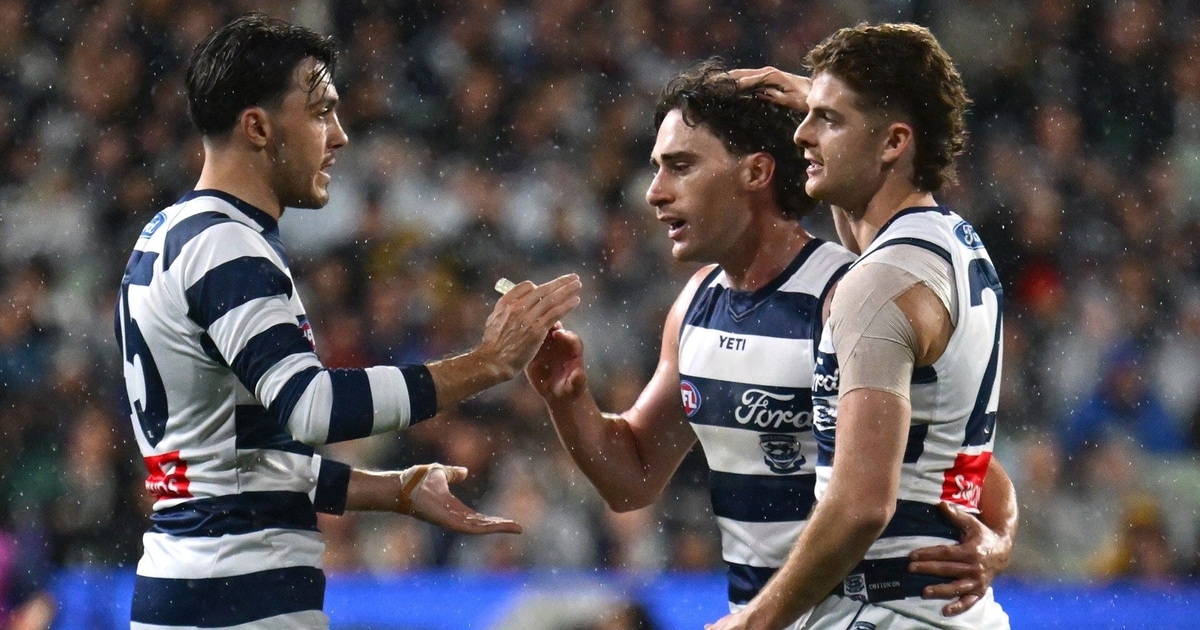 Cats Smalls Ramp Up The Pressure
