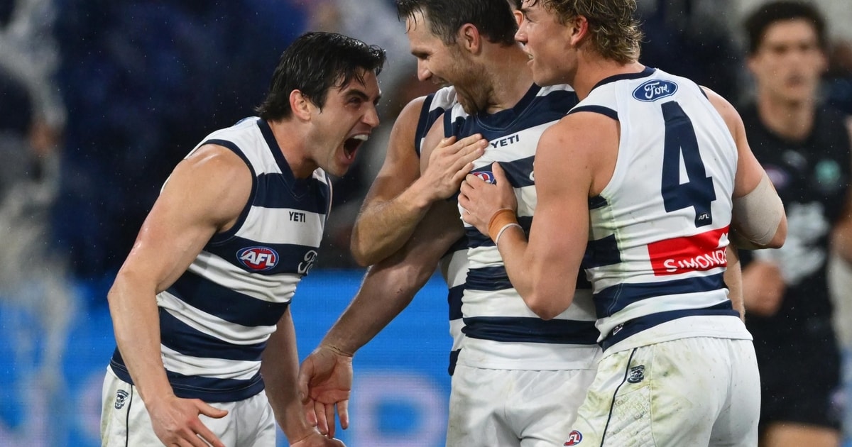 Gary Ayres Award | Star Cats Start September Strongly