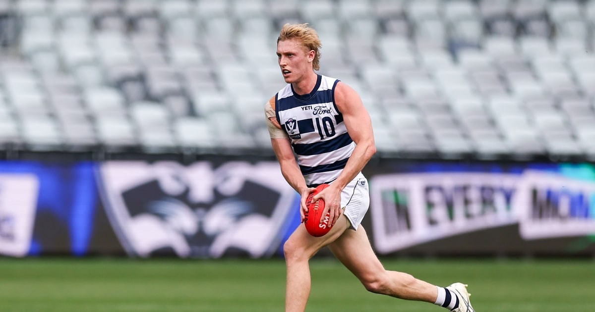 Geelong Cats AFL List Update