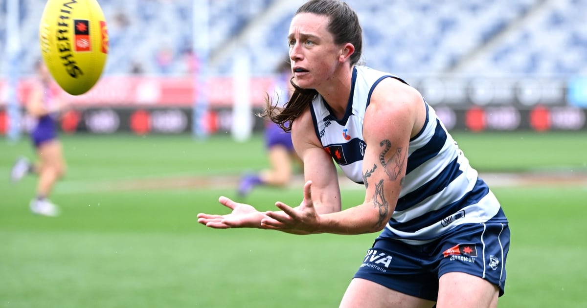 Geelong Cats Photo Galleries